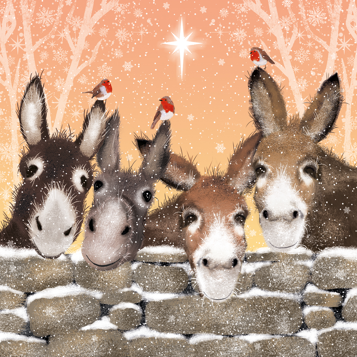 Dusky Donkeys and Robins